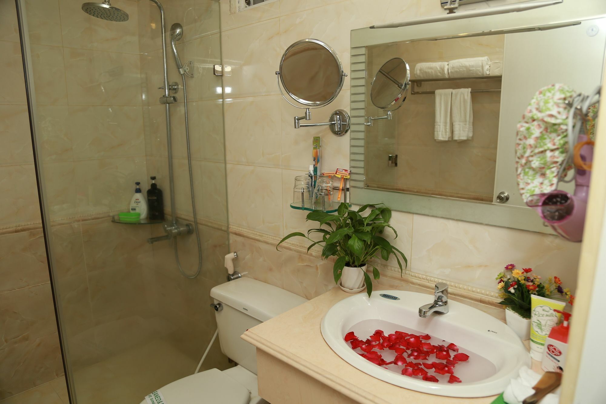 A25 - 19 Bùi Thị Xuân Khách sạn TP. Hồ Chí Minh